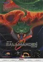 Salamander (version D) ROM