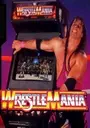 WWF - Wrestlemania (rev 1.1 07/11/95) ROM