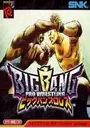 Big Bang Pro Wrestling ROM