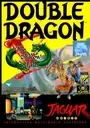 Double Dragon V - The Shadow Falls ROM