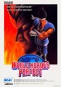 World Heroes Perfect ROM