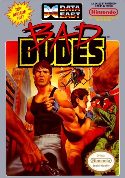 ROM Cover: Bad Dudes