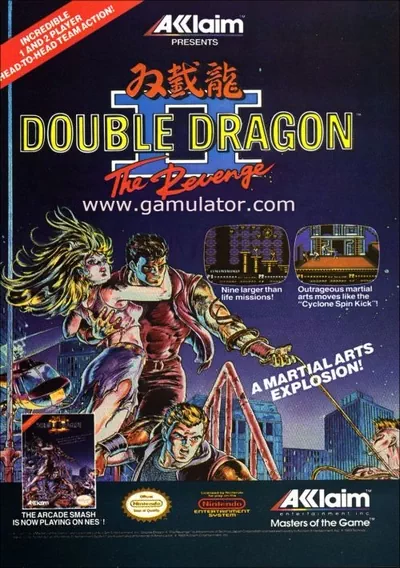 ROM Cover: Double Dragon II - The Revenge