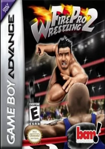 ROM Cover: Fire Pro Wrestling 2