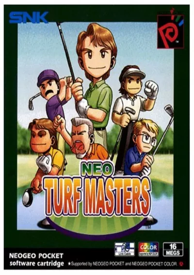 ROM Cover: Neo Turf Masters