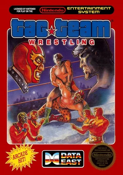 ROM Cover: Tag Team Wrestling